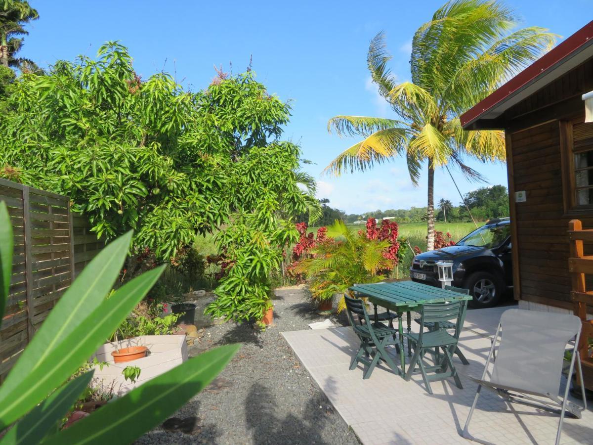 Bungalow des Palétuviers Morne-a-l'Eau Extérieur photo