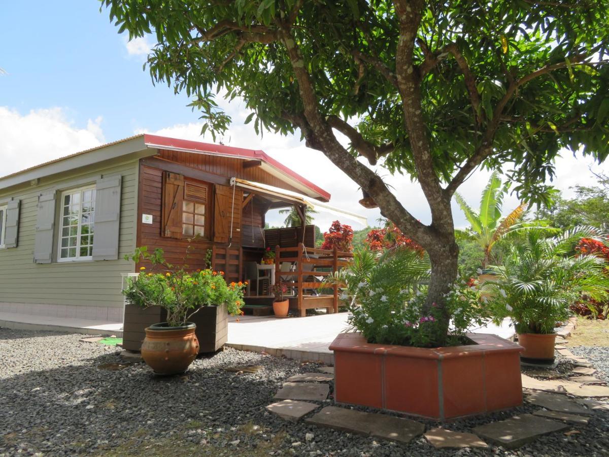 Bungalow des Palétuviers Morne-a-l'Eau Extérieur photo